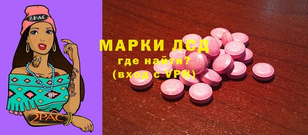 индика Алексин