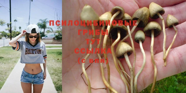 каннабис Пересвет